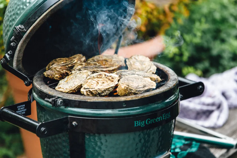 big green egg mini